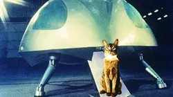 Le chat qui vient de l'espace