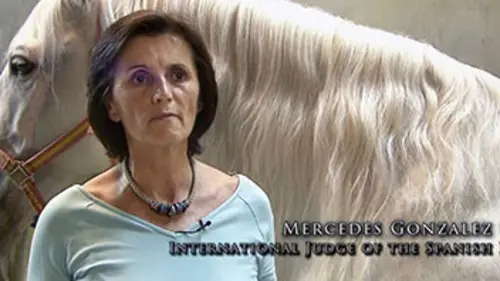 Le cheval andalou, monture royale