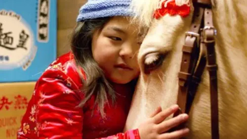 Le cheval de saint Nicolas