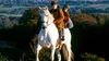 Traveller dans Le cheval venu de la mer (1992)