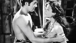 Visuel de Le chevalier de la vengeance