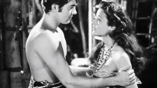 Casting Le chevalier de la vengeance