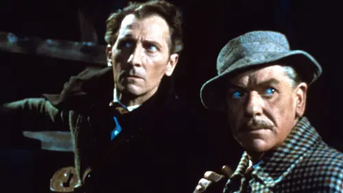 Le chien des Baskerville