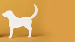 Le chien et l'enfant