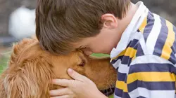 Le chien et l'enfant