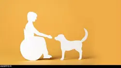 Le chien et l'enfant