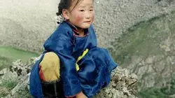 Le chien jaune de Mongolie