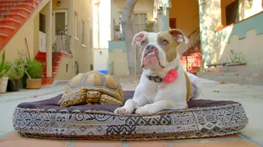 Puka & Larry and Eligh & Laura