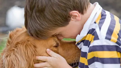 Le chien, meilleur copain des animaux Rose & Biscuit and June & Waffles