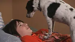 Visuel de Le chien vampire