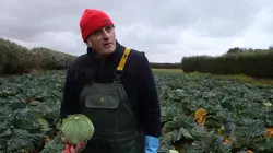 Le chou, un légume à la mode, à la mode !