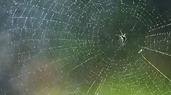 Visuel de Le ciel nous est tombé sur la tête