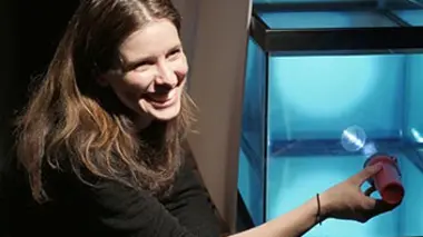 Avec l'eau vient le chaos