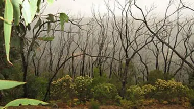 Le ciel nous est tombé sur la tête