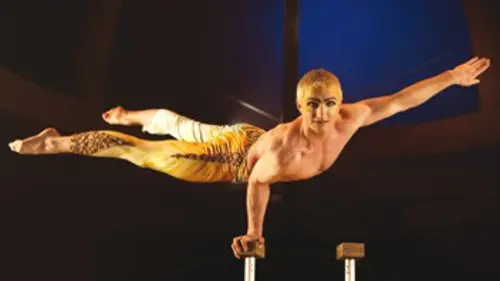 Le Cirque du soleil Alegria