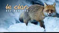 Le clan des renards