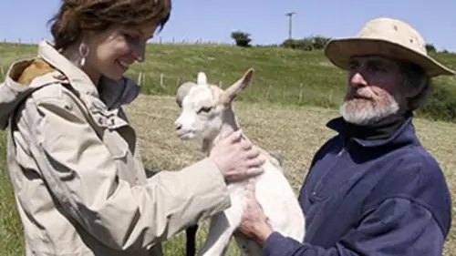 Le climat selon Sophie E01 Sur nos terres