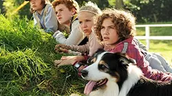 Le club des cinq en péril en streaming