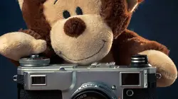 Le Coelacanthe, plongée vers nos origines Plongée vers nos origines