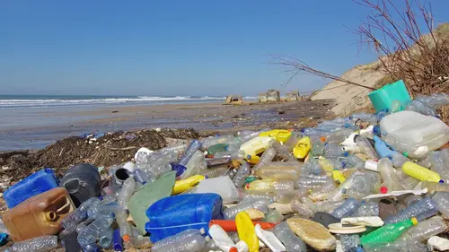 Le combat des Aînées suisses pour le climat