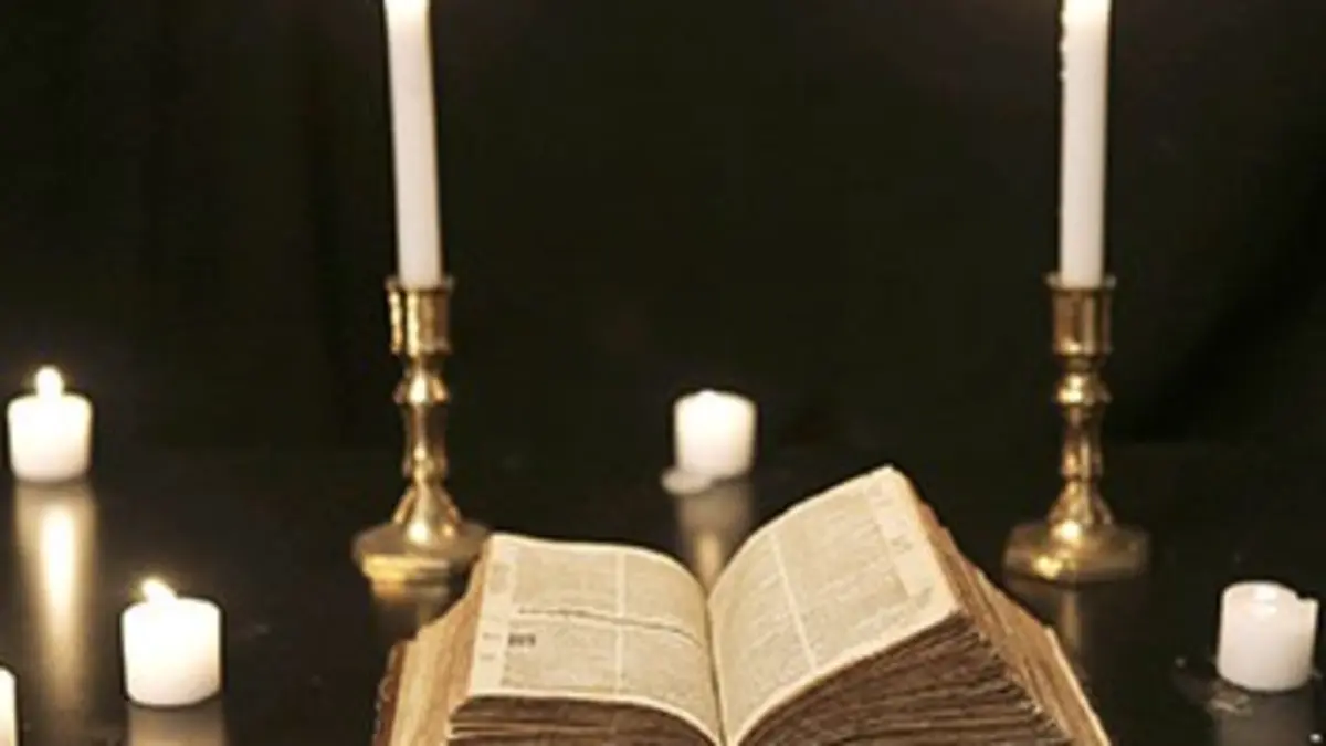 Le complexe du cortex E02 La mémoire