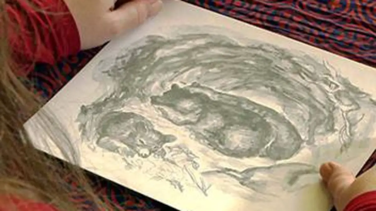 Le complexe du kangourou