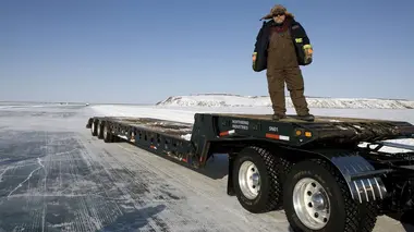 Novices contre vieux briscards