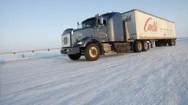 La colère de l'ours