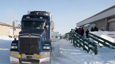 Le convoi de l'extrême : le retour des héros La route des kamikases