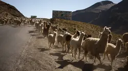 Le convoi de l'extrême : les routes des Andes