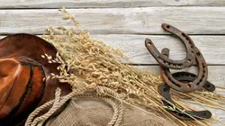 Le convoi des braves