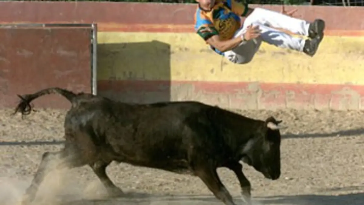 Épisodes de Le corps humain