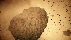 Casting Le cosmos dans tous ses états Le système solaire