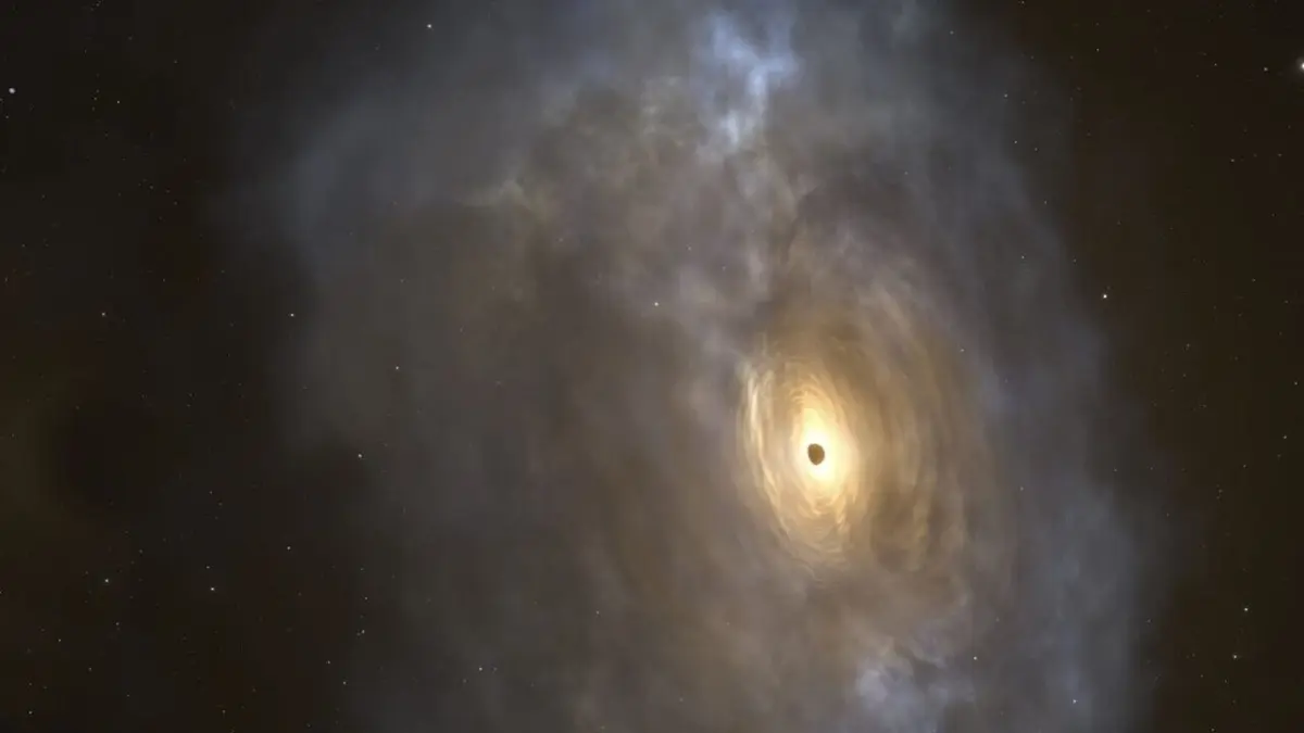 Le cosmos et les origines de la vie L'apport des trous noirs