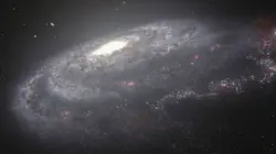 Le cosmos et les origines de la vie