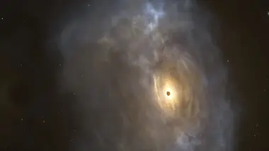 Le cosmos et les origines de la vie L'apport des trous noirs