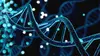 Le court du jour : femmes de science