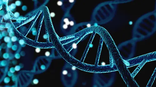 Le court du jour : femmes de science