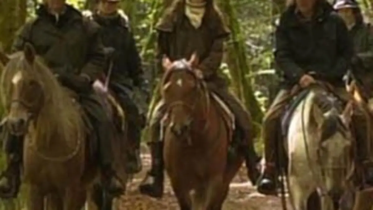 Le cowboy et la sirène