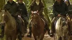 Visuel de Le cowboy et la sirène