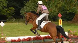 Visuel de Le cross-country, la course à l'extrême