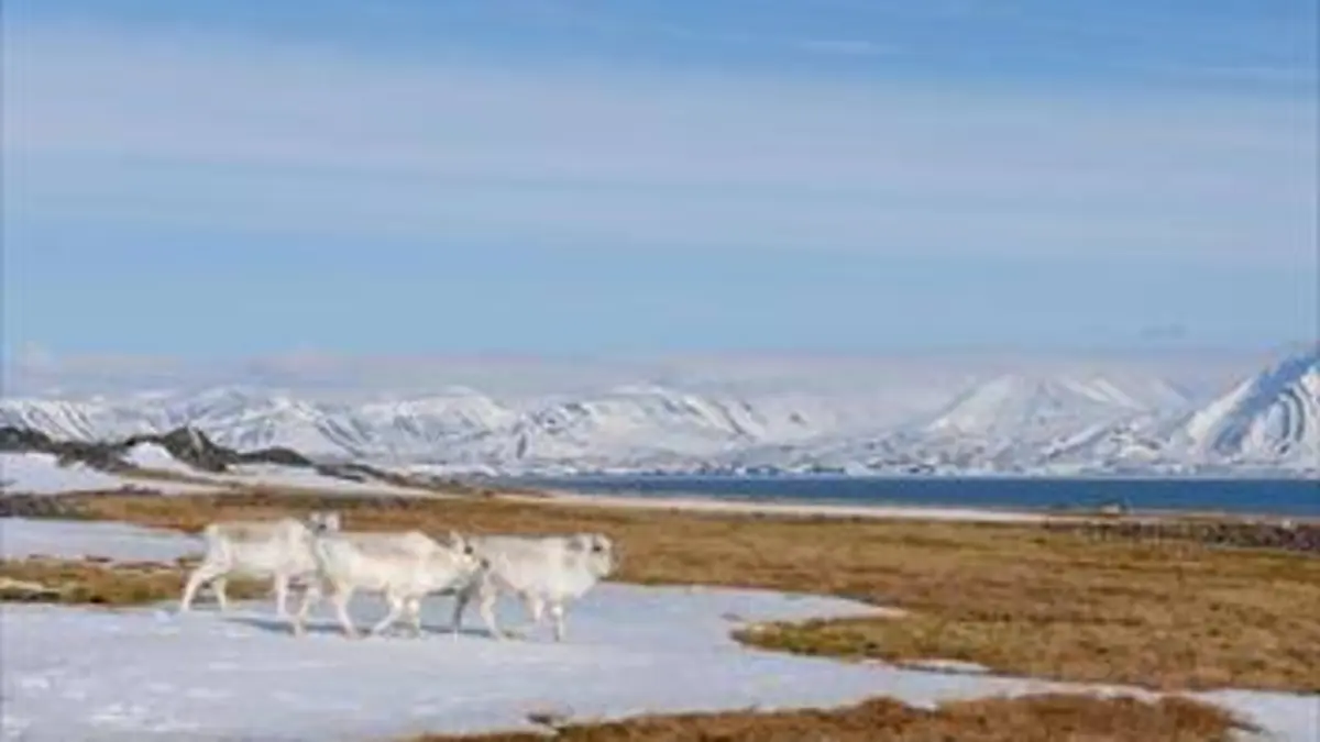 Le cycle des saisons E02 Svalbard