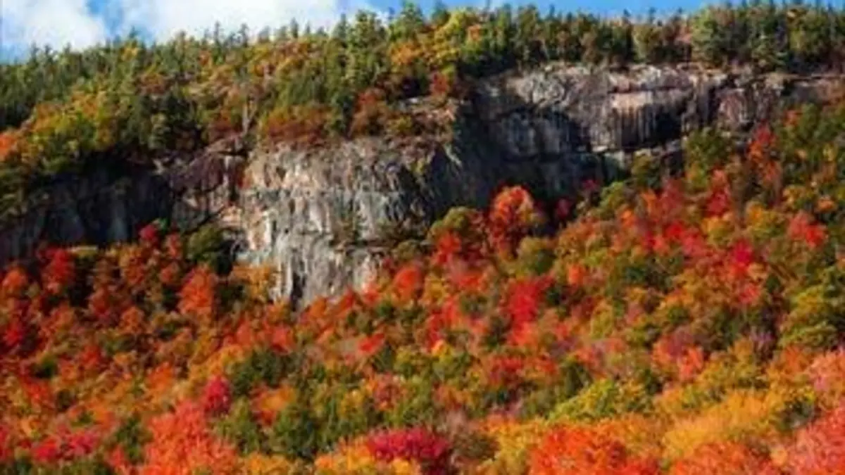 Le cycle des saisons