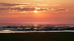 Le Danemark sauvage Forêts