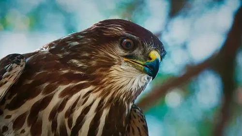 Le Danemark sauvage Mers et rivages