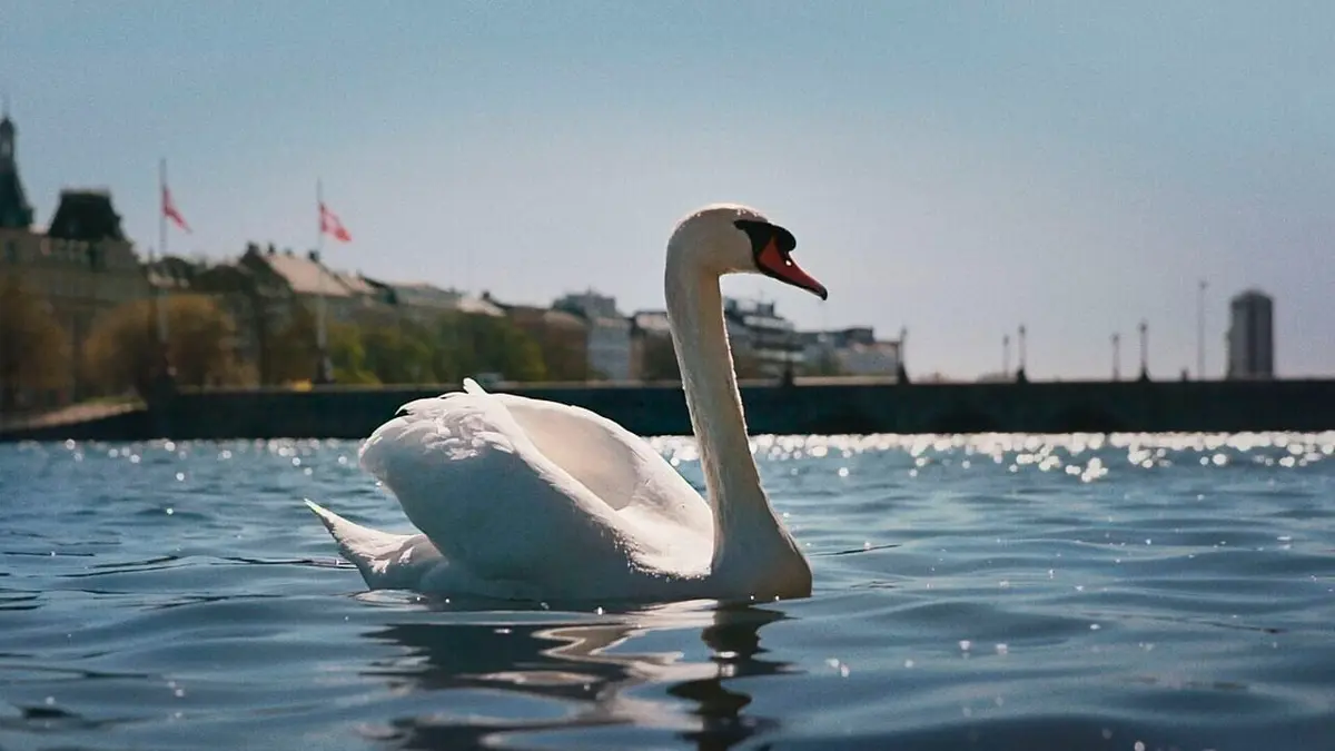 Le Danemark sauvage Lacs et rivières
