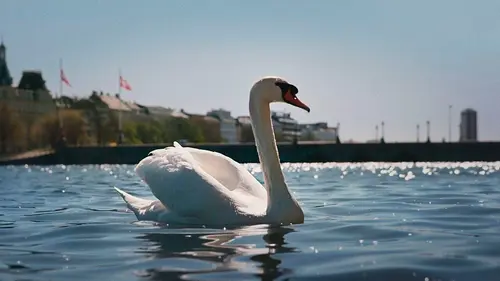 Le Danemark sauvage Lacs et rivières