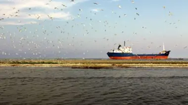 De la Forêt-Noire à la mer Noire