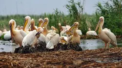 Visuel de Le Danube, l'artère bleue de l'Europe