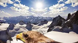 Sur Ushuaïa TV à 22h15 : Le défi de l'aigle